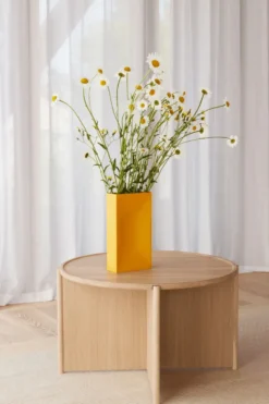 Into vas, Yellow