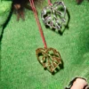 Karen Blixen under the mistletoe, Försilvrad, 6 cm