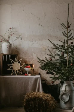 Karin adventsstjärna Ø45 cm, Natur