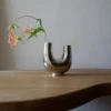 Kazumi vas, Nickel