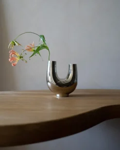 Kazumi vas, Nickel