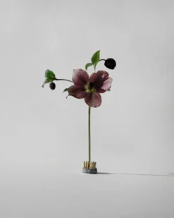 Kenzan vas, Ø2,3 cm