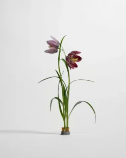 Kenzan vas, Ø2,3 cm