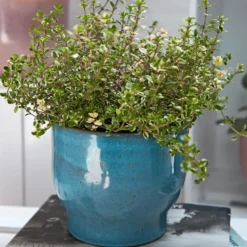 Knabstrup ytterkruka Ø16,5 cm, Dusty blue