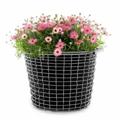 Korbo bucket 16, syrafast stål