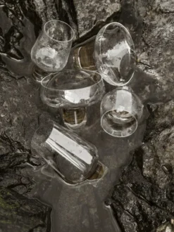 Koyoi proseccoglas 20 cl, klar