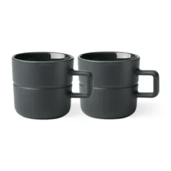 Lines mugg 30 cl 2-pack, Mörkgrå