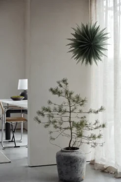Liz adventsstjärna Ø50 cm, Green