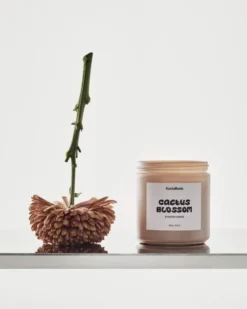 Mind doftljus, Cactus Blossom, 330 g