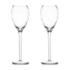 Opacity champagneglas 16 cl 2-pack, Klar