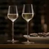 Orrefors x Björn Frantzén champagneglas 2-pack, 28 cl