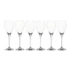 Party champagneglas 16 cl, 6-pack