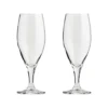 Passion connoisseur ölglas 40 cl 2-pack, Clear