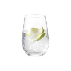 Passion connoisseur vattenglas 46,5 cl, 2-pack