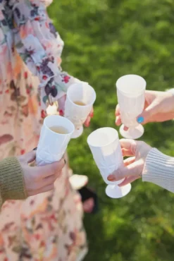Picknick champagneglas plast 4-pack, Vit