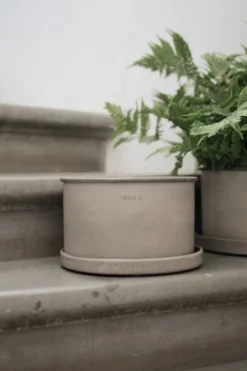 Plant bowl kruka 2-pack, Beige