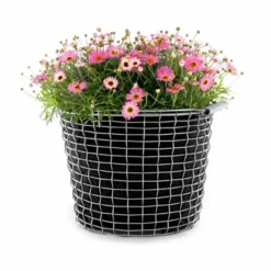 Planteringssäck 3-pack till Korbokorg, 16 l