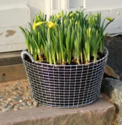 Planteringssäck 3-pack till Korbokorg, 35 l