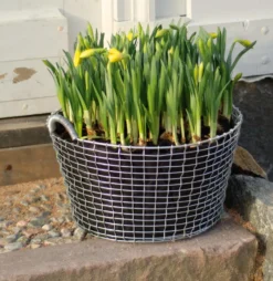Planteringssäck 3-pack till Korbokorg, 24 l