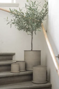 Plant pot kruka large 2-pack, Beige