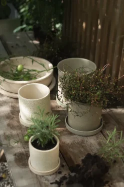 Plant pot kruka small 2-pack, Beige