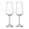 Pulse champagneglas 28 cl 2-pack, Klar