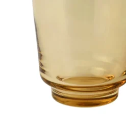 Raise glas 30 cl 2-pack, Burnt orange