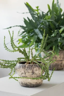 Raw blomkruka Ø17 cm, Off-white