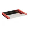 Ray tray disco bricka 20,5x30 cm, Red coral,-rostfritt stål