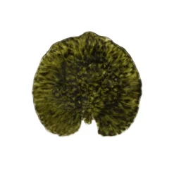 Riviera Alchemille fat, Forest, 18 cm