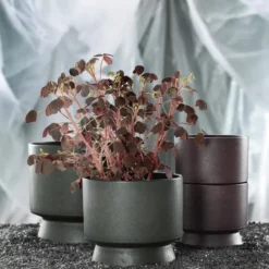 Ro blomkruka Ø15 cm, Mörkgrön