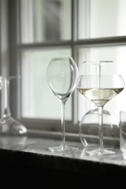 Saga champagneglas 2-pack, Klar