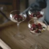 Saga cocktailglas 2-pack, Klar