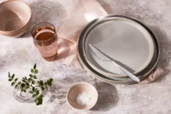Sandstone förrättskniv blank, Rostfritt stål