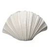 Shell vas, Vit