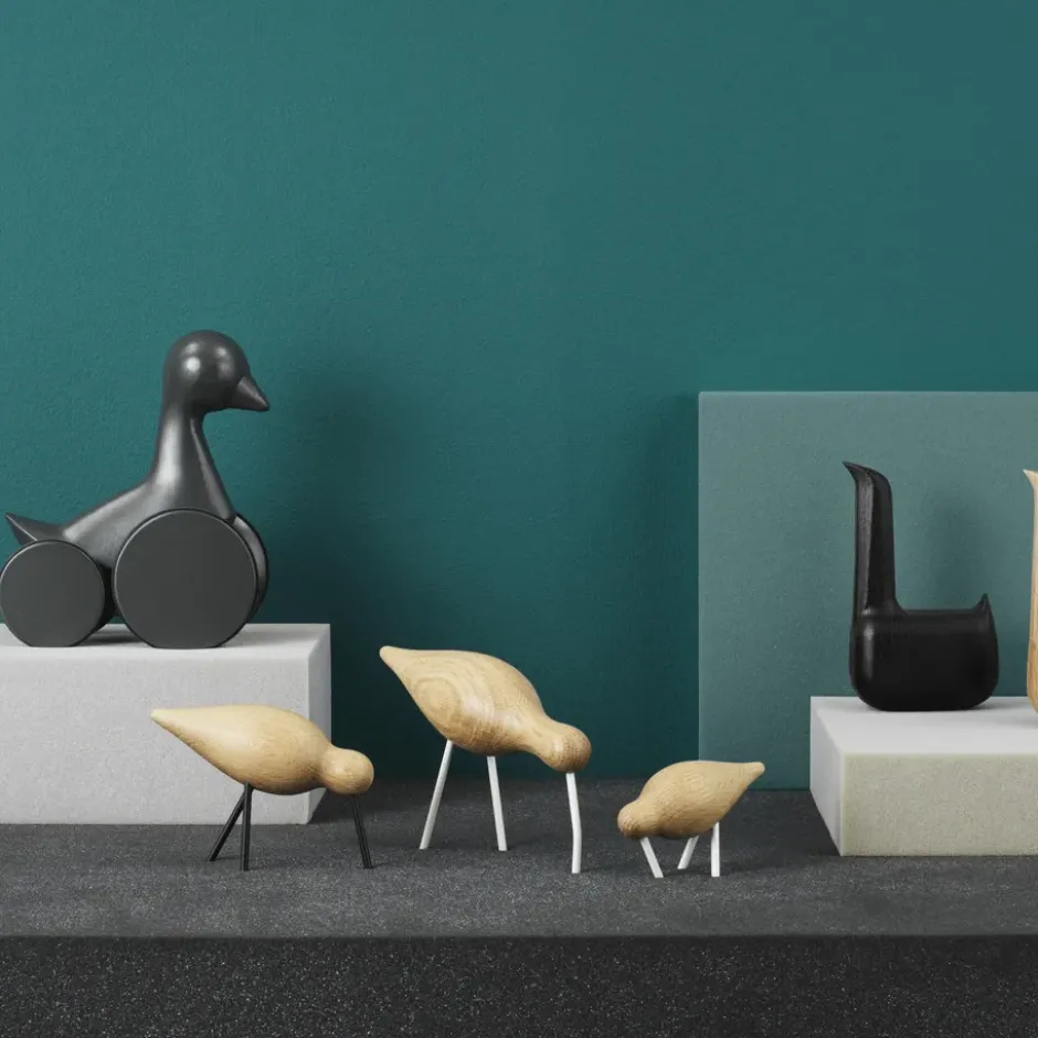 Shorebird ek-vit, liten