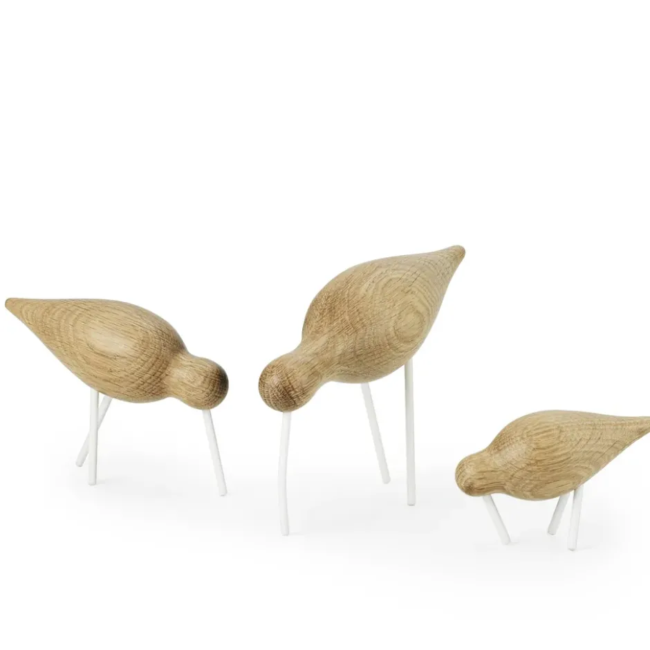 Shorebird ek-vit, liten