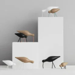 Shorebird svart, mellan