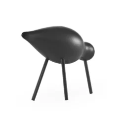 Shorebird svart, mellan