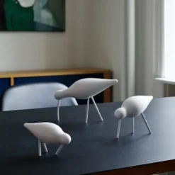 Shorebird vit, mellan