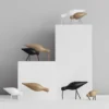 Shorebird vit, stor