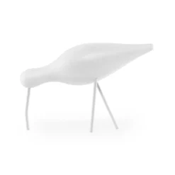 Shorebird vit, stor