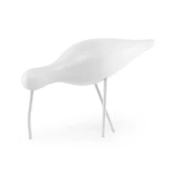 Shorebird vit, stor