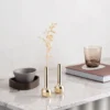 Silhouette 120 vas, Gold plated