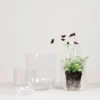Simple glasvas large, Clear
