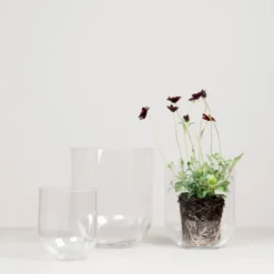 Simple glasvas small, Clear
