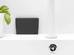 Sinkside diskskrapa, Mörkgrå
