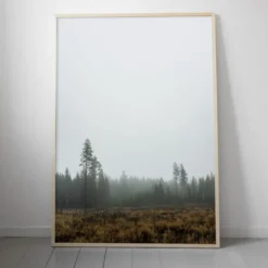 Skog poster, 70 x 100 cm