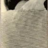 Striped Shirt poster, 50x70 cm