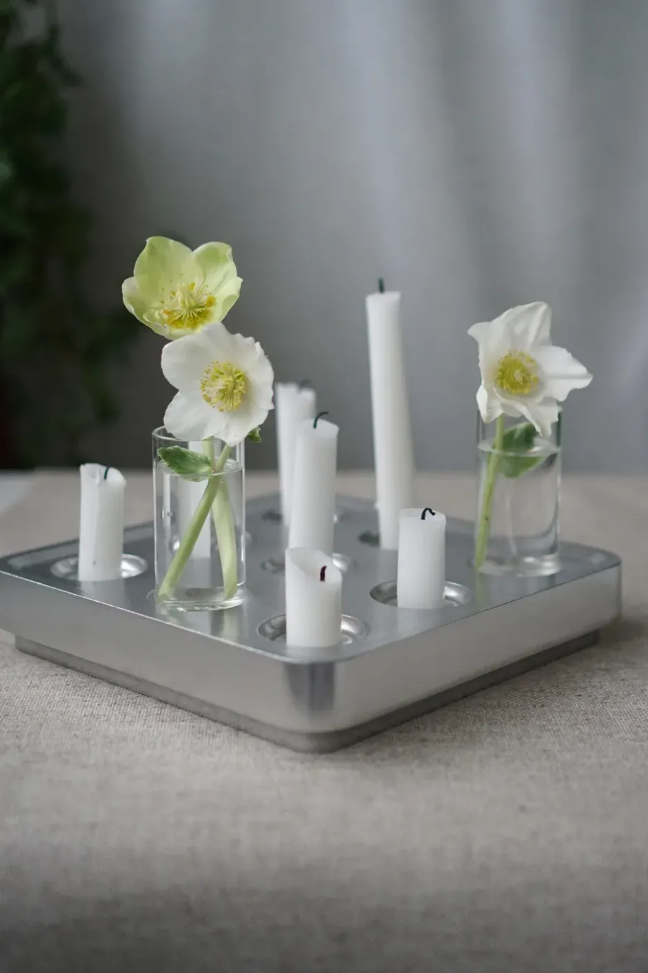 Stumpastaken polished, Liten